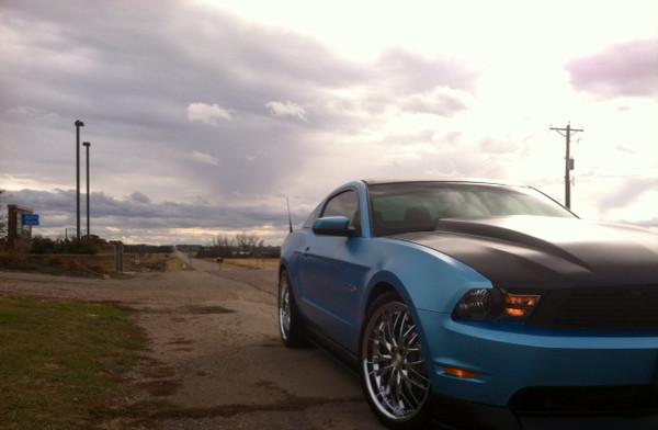 THE 605 DIP SHOP'S GULF BLUE MUSTANG